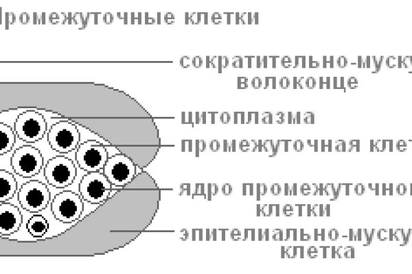 Кракен открылся