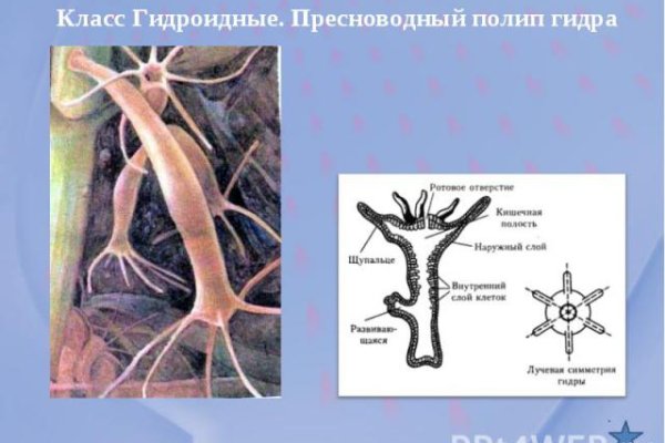 Почему не заходит на кракен