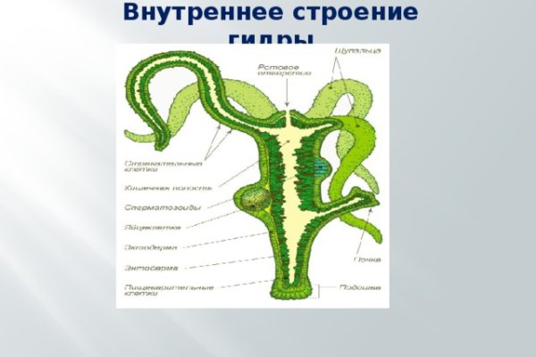 Кракен сбой