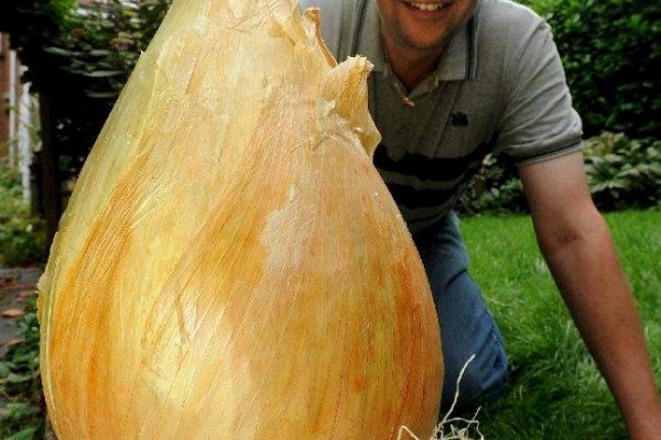 Не могу зайти в аккаунт кракен