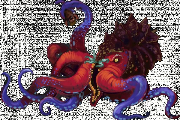 Kraken cc