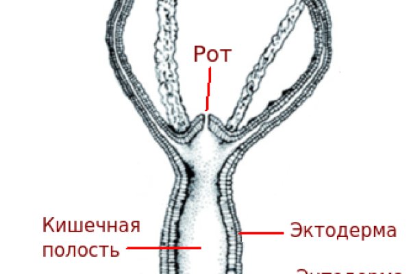 Кракен площадка вход